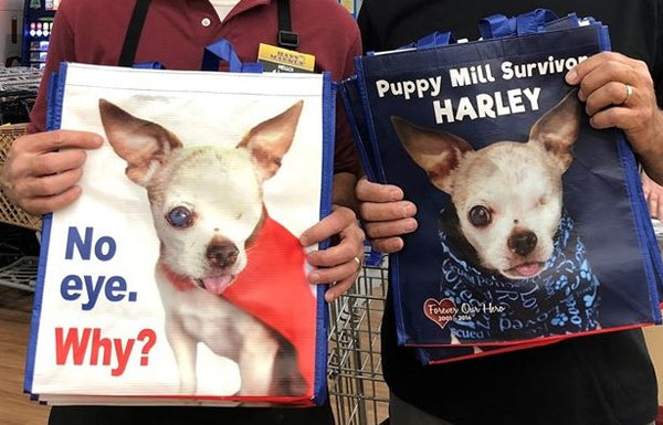 Harley's Dream Shopping Bags (quantities of 10, 20 or 100)