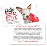 Puppy Mill Awareness Cards - Harley (200 pk)