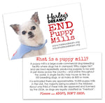 Puppy Mill Awareness Cards - Teddy (200 pk)