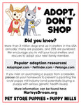 Adopt, Don't Shop - Mini-Flyers (100 pack)