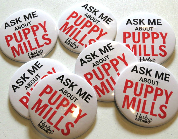 ASK ME about Puppy Mills Magnet-Back Button