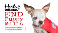 Puppy Mill Awareness Cards - Harley (200 pk)