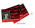 Postcards (10 pack) Most Pet Store Puppies Come From Puppy Mills