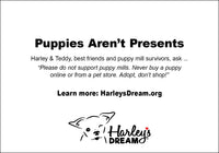 Holiday Cards - Harley & Teddy "Friends" (set of 6)