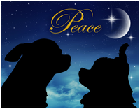 Holiday Cards - Peace (set of 6)