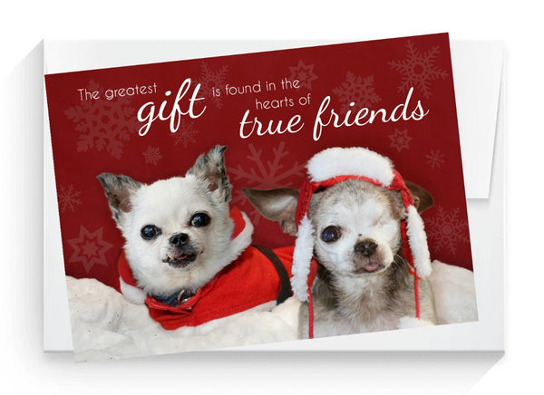 Holiday Cards - Harley & Teddy "Friends" (set of 6)