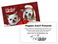 Puppies Aren't Presents - Awareness Cards (50 pk)