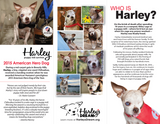 Who is Harley? - (50 pk) Tri-Fold Brochure