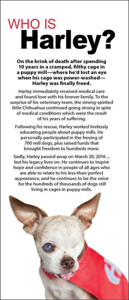 Who is Harley? - (50 pk) Tri-Fold Brochure