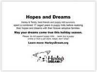 Holiday Cards - Hopes & Dreams (set of 6)